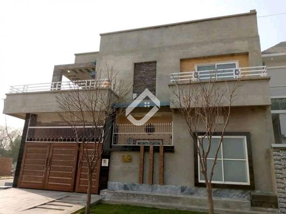 home-1