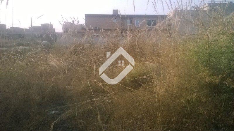 home-1