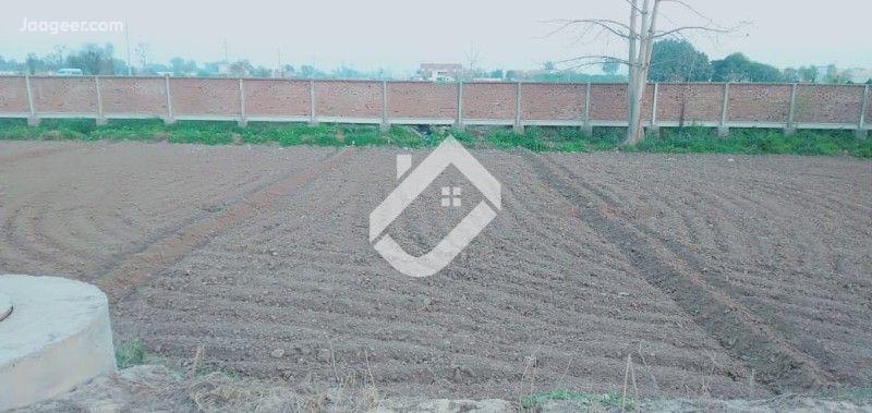 home-1