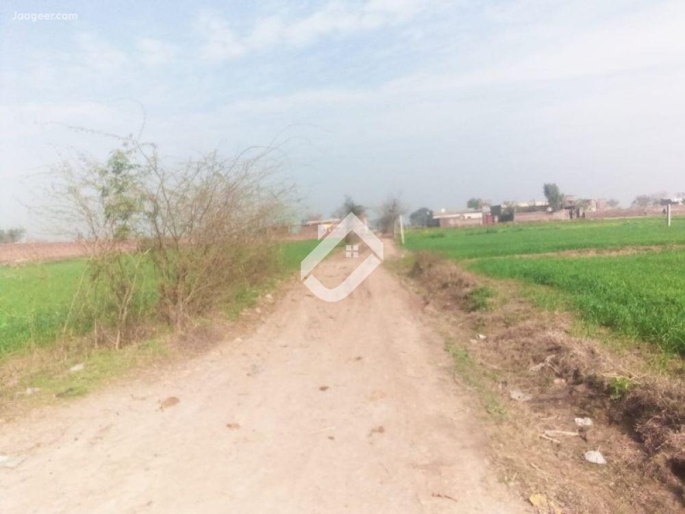 View  100 Acre Agriculture Land Is Available For Sale At Ferozpur Road in Ferozpur Road, Lahore