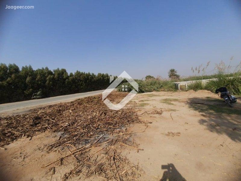 View  11 Kanal Agricultural Land Is Available For Sale At Faisalabad Road Bypass in Faisalabad Road bypass, Sargodha
