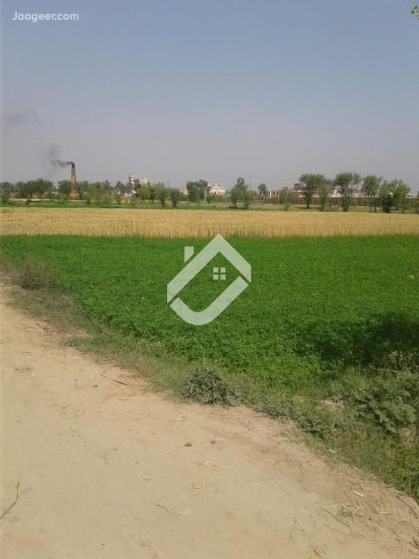 View  128 Kanal Agricultural Land Is Available For Sale At Main Lahore Road in Main Lahore Road, Sargodha