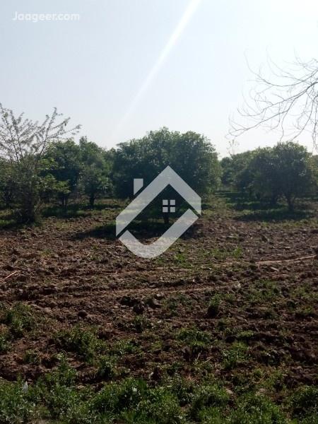 home-1