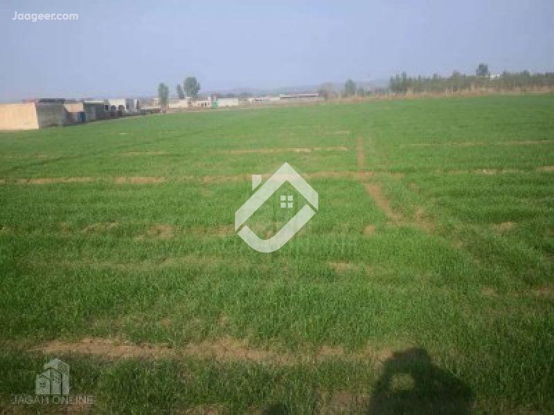 View  15 Kanal Agricultural Land Is Available For Sale In Chak 144 SB in Chak 114 SB, Sargodha