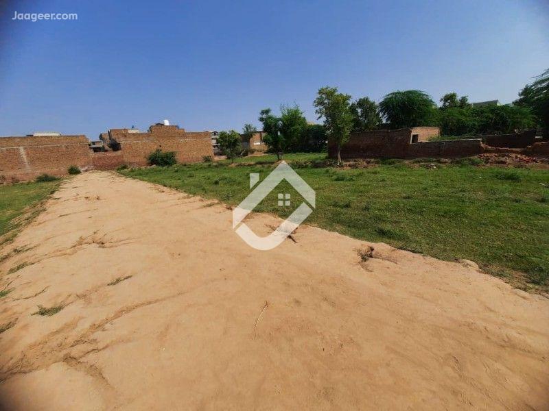 View  20 Kanal Agricultural Land Is Available For Sale In Model Colon 49 Tail in Model Colony 49 Tail, Sargodha