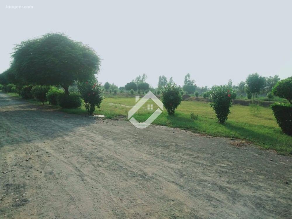 View  5 Marla Residential Plot For Sale In Makkah City  in Makkah City, Bhalwal
