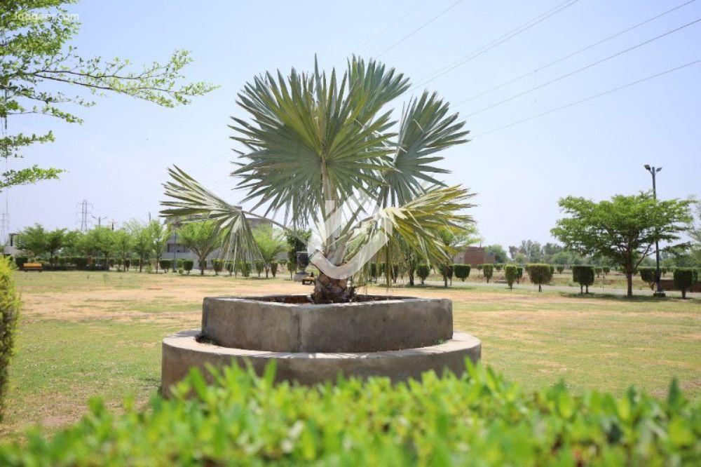 View  8 Marla Residential Plot For Sale In Green Land in Green Land, Sargodha