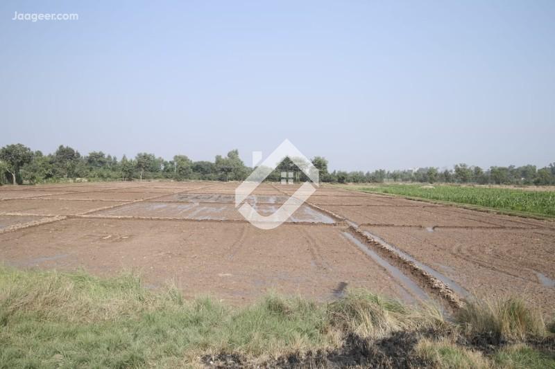 View  6 Acre Residential Plot For Sale In Jhal Chakian Sargodha in Jhal Chakian, Sargodha