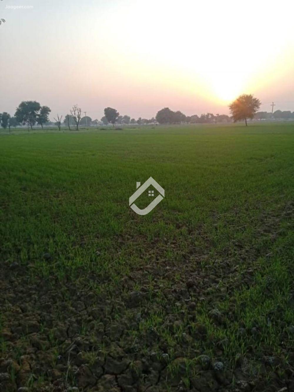 View  2O Kanal Agricultural Land Is Available For Sale  At Main Samundri Road  in Samundri Road, Faisalabad