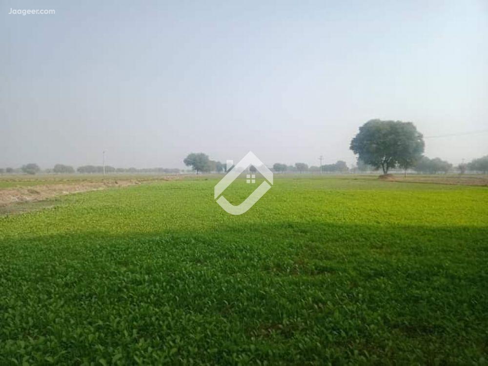 View  2OO Kanal Agricultural Land Is Available For Sale  At Main Samundri Road  in Samundri Road, Faisalabad