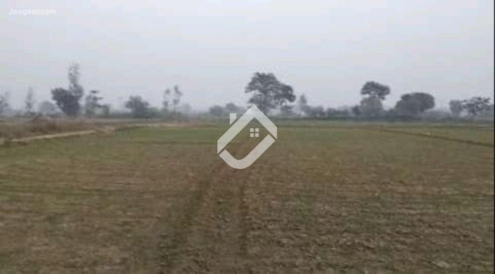 View  35 Kanal Agricultural Land Is Available For Sale  At Main Samundri Road  in Samundri Road, Faisalabad