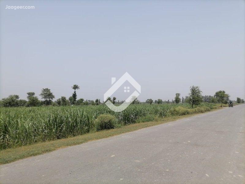 home-1