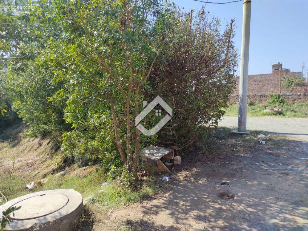 home-1