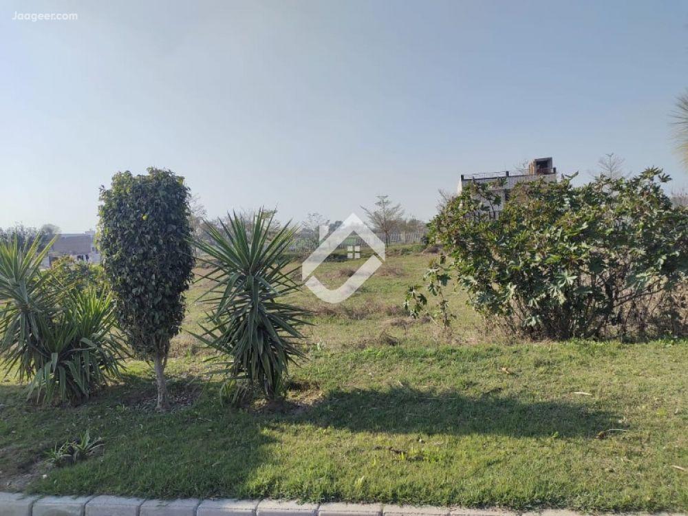 home-1
