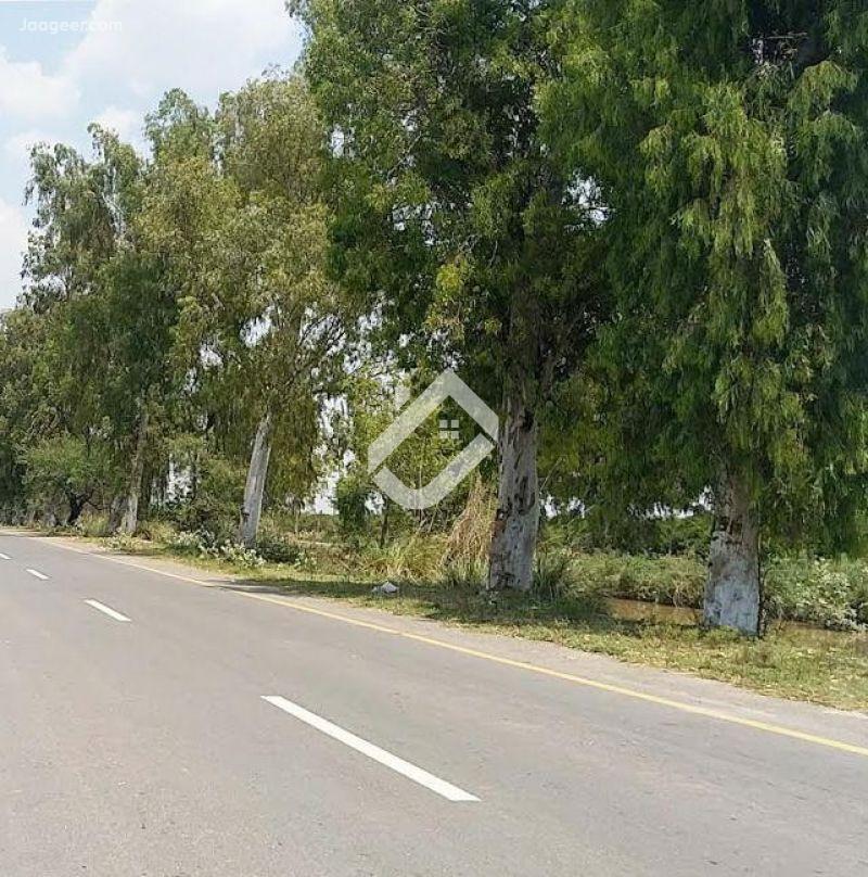 View  58 Marla Commercial Plot Is Available For Sale At Main Kot Momin Road  in Kot Momin Road, Sargodha